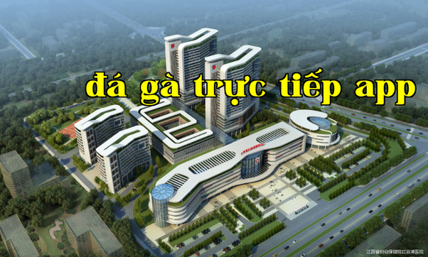 Bệnh viện Phụ sản Tỉnh Giang Tây, Chi nhánh Long Hộ, khu Hồng Cốc Đạt